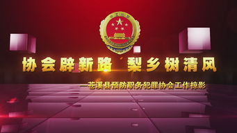 一站式創(chuàng)意傳播解決方案 四川龍騰多媒體文化服務(wù)全覽